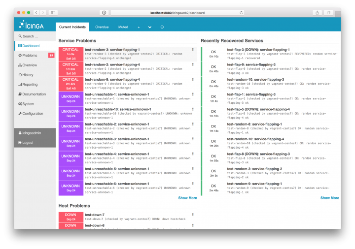 Screenshot of Icinga monitoring tool