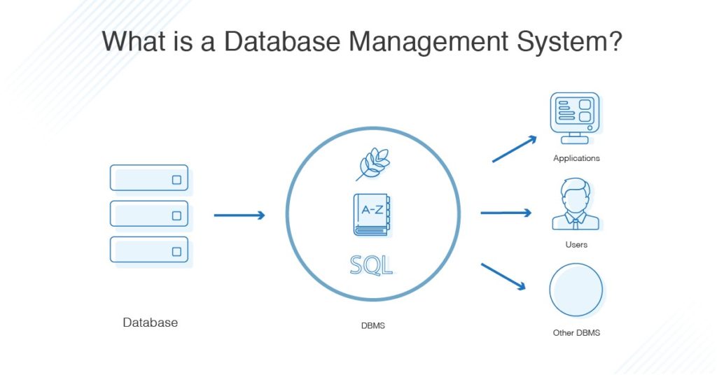 what-is-database-management-system