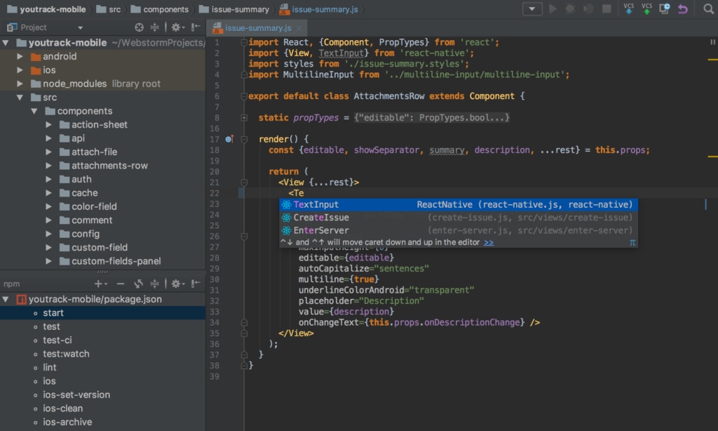 Webstorm IDE